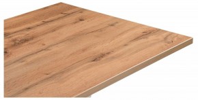 Стол обеденный Мичиган Лофт в Губкинском - gubkinskiy.mebel24.online | фото 4
