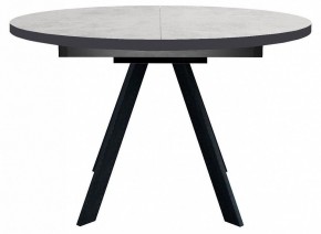 Стол обеденный RD100 в Губкинском - gubkinskiy.mebel24.online | фото