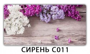 Стол раздвижной Трилогия с фотопечатью Доска D111 в Губкинском - gubkinskiy.mebel24.online | фото 16