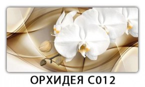 Стол раздвижной Трилогия с фотопечатью Доска D112 в Губкинском - gubkinskiy.mebel24.online | фото 13