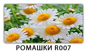Стол раздвижной Трилогия с фотопечатью Доска D112 в Губкинском - gubkinskiy.mebel24.online | фото 15
