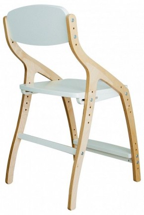 Стул Эверест в Губкинском - gubkinskiy.mebel24.online | фото 3