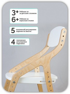 Стул Эверест в Губкинском - gubkinskiy.mebel24.online | фото 5