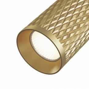 Светильник на штанге Maytoni Focus Design TR011-1-GU10-G в Губкинском - gubkinskiy.mebel24.online | фото 3