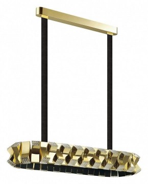 Светильник на штанге Odeon Light Asturo 4993/80LA в Губкинском - gubkinskiy.mebel24.online | фото 3