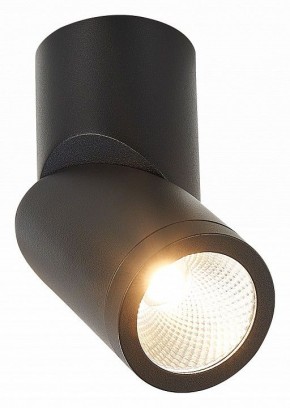 Светильник на штанге ST-Luce ST650 ST650.442.10 в Губкинском - gubkinskiy.mebel24.online | фото 2