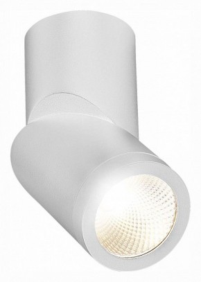Светильник на штанге ST-Luce ST650 ST650.542.10 в Губкинском - gubkinskiy.mebel24.online | фото 3