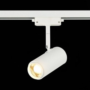 Светильник на штанге ST-Luce Zoom ST600.536.12 в Губкинском - gubkinskiy.mebel24.online | фото 4