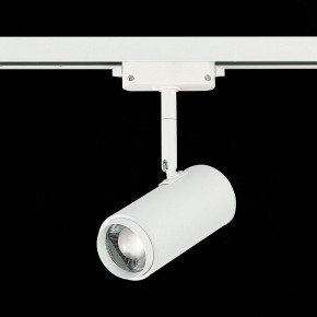 Светильник на штанге ST-Luce Zoom ST600.536.12 в Губкинском - gubkinskiy.mebel24.online | фото 5