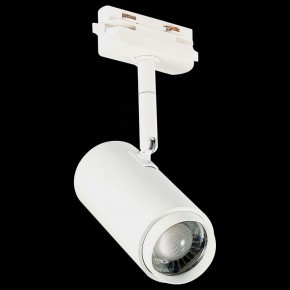 Светильник на штанге ST-Luce Zoom ST600.536.12 в Губкинском - gubkinskiy.mebel24.online | фото 6