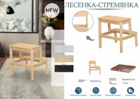 Табурет Стремянка в Губкинском - gubkinskiy.mebel24.online | фото 3