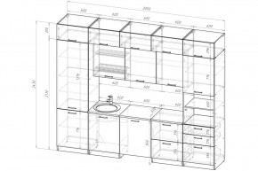 ТЕРЦИЯ Кухонный гарнитур Экстра 5 (3000 мм) в Губкинском - gubkinskiy.mebel24.online | фото 2