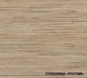 ТОМИЛЛА Кухонный гарнитур Стандарт 4 (1600 мм ) в Губкинском - gubkinskiy.mebel24.online | фото 6