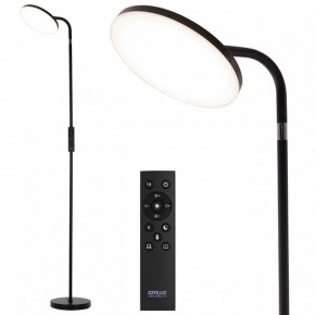 Торшер Citilux SOLO CL804061 в Губкинском - gubkinskiy.mebel24.online | фото 2