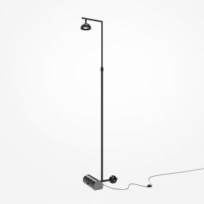 Торшер Maytoni Pikant MOD372FL-L10B3K в Губкинском - gubkinskiy.mebel24.online | фото 2