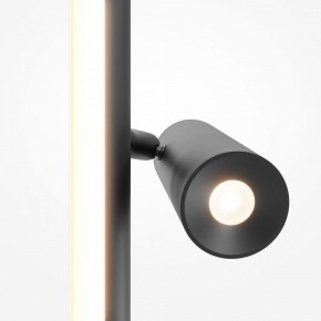 Торшер Maytoni Thin MOD395FL-L28B3K в Губкинском - gubkinskiy.mebel24.online | фото 6