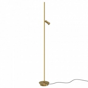 Торшер Maytoni Thin MOD395FL-L28BS3K в Губкинском - gubkinskiy.mebel24.online | фото