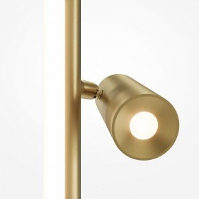 Торшер Maytoni Thin MOD395FL-L28BS3K в Губкинском - gubkinskiy.mebel24.online | фото 5