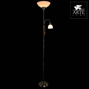 Торшер с подсветкой Arte Lamp Duetto A9569PN-2AB в Губкинском - gubkinskiy.mebel24.online | фото 3