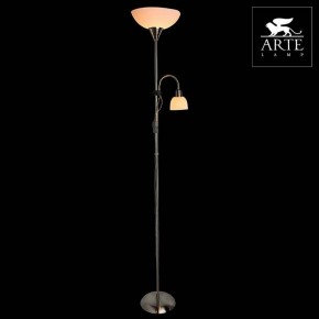 Торшер с подсветкой Arte Lamp Duetto A9569PN-2SS в Губкинском - gubkinskiy.mebel24.online | фото 3