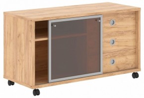 Тумба комбинированная Born B 202.2A в Губкинском - gubkinskiy.mebel24.online | фото