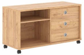 Тумба комбинированная Born B 202A в Губкинском - gubkinskiy.mebel24.online | фото