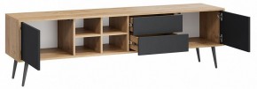 Тумба под ТВ Тип 5 в Губкинском - gubkinskiy.mebel24.online | фото 2