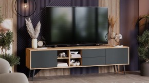 Тумба под ТВ Тип 5 в Губкинском - gubkinskiy.mebel24.online | фото 5
