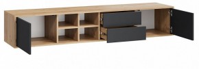 Тумба под ТВ Тип 5 в Губкинском - gubkinskiy.mebel24.online | фото 2