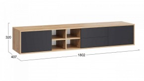 Тумба под ТВ Тип 5 в Губкинском - gubkinskiy.mebel24.online | фото 5