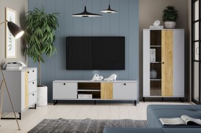 Тумба ТВА НМ 014.46 "Бруно" в Губкинском - gubkinskiy.mebel24.online | фото 3