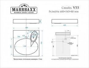 Умывальник над стиральной машиной (600*545*80) Смайл V55D1 (белый) с кронштейном без сифона (V55D1) в Губкинском - gubkinskiy.mebel24.online | фото 2