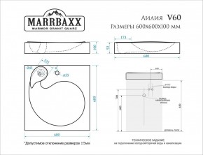 Умывальник над стиральной машиной (600*600х100) Лилия V60 (белый) с кронштейном без сифона (V60) в Губкинском - gubkinskiy.mebel24.online | фото 2
