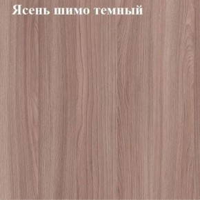 Вешалка для одежды (Ясень шимо темный) в Губкинском - gubkinskiy.mebel24.online | фото 2
