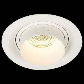 Встраиваемый светильник ST-Luce Zoom ST701.538.12 в Губкинском - gubkinskiy.mebel24.online | фото 4