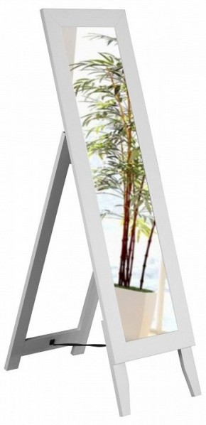 Зеркало напольное BeautyStyle 1 в Губкинском - gubkinskiy.mebel24.online | фото 5