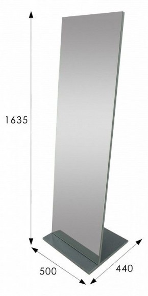 Зеркало напольное Стелла 2 в Губкинском - gubkinskiy.mebel24.online | фото 9
